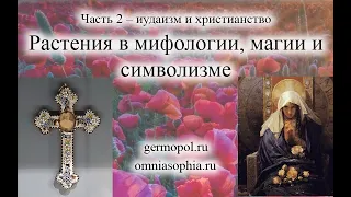 Растения в магии и мифологии. Часть 2 – иудаизм и христианство.