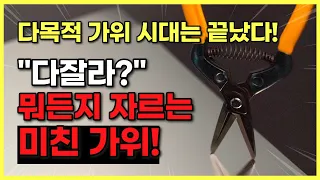 이거 하나 면 다 자를 수 있다고?? 가격 싸지만 완벽한 1만 원짜리 꿀템을 공개합니다!