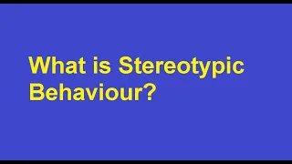 What is Stereotypic Behaviour?