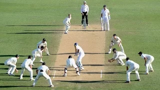 Top 10 Amaizing Moments in Cricket History | Cricket best moments | Cricket bloopers,