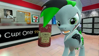 GMod Ponies:soup store