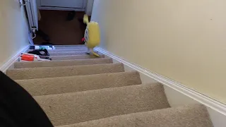 SpongeBob falls down the stairs and dies