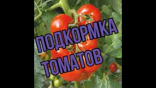 Подкормка томатов: 1-я и 2-я  кисть