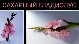 ГЛАДИОЛУС ДЛЯ ТОРТА/SUGAR GLADIOLUS FOR CAKE/МАСТЕР-КЛАСС