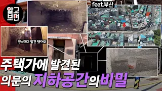 부산 가정집 아래서 발견된 100평(330㎡)의 지하공간, 그 정체는?