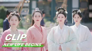 Li Wei Changes the Rules of Inter-region Marriage | New Life Begins EP40 | 卿卿日常 | iQIYI