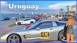 【4K】WALK Downtown Punta del Este URUGUAY travel vlog 4k video