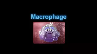 Supercytes cartoon - Macrophage