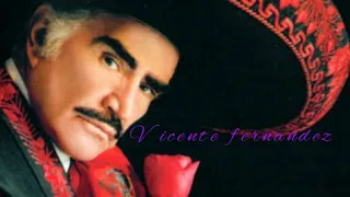 Vicente fernandez mix