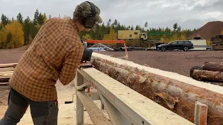 Sawing with Logosol F2 chainsaw mill | Prepping logs for log cabin build