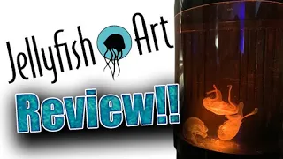 How to keep jellyfish as pets! | Jellyfish Art Nano Tank review!