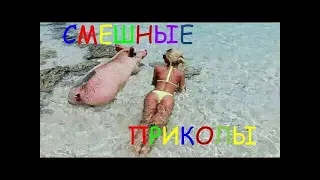 РЖАКА ЛУЧШИЕ СМЕШНЫЕ ПРИКОЛЫ Best Funny jokes