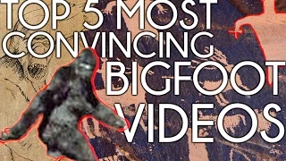 Top 5 Most Convincing Bigfoot Videos