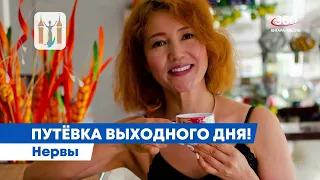 Новости "360 Ангарск" выпуск от 02 04 2024