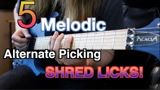 5 Melodic Alternate Picking Shred Licks! ( With Tabs)