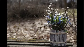 Вход Господень в Иерусалим / Entrance of the Lord into Jerusalem