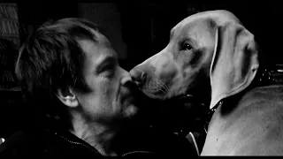 Sinead O'Connor - I Believe In You (Bob Dylan cover) - Holder The Weimaraner
