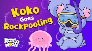 Koko Goes Rock Pooling | Sleep Meditation Story | Koala Moon Bedtime Stories
