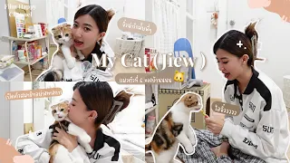 ฟิล์มเปิดตัวสมาชิกใหม่ ไอจิ๋ว แมวตัวที่ 6 ของบ้านนน 🐱🎀 | Film Happy Channel