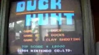 Time Machine - Duck Hunt (NES)