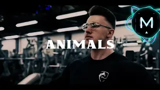Animals gym workout songs| Gaming | Motivational