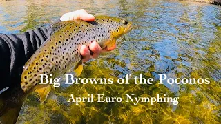 Euro Nymphing:  Spring in the Pocono Mountains, PA