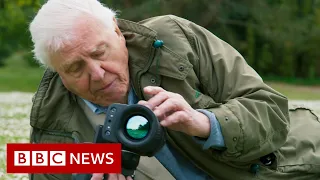 David Attenborough: ‘Act now on climate change or it will be too late’ - BBC News