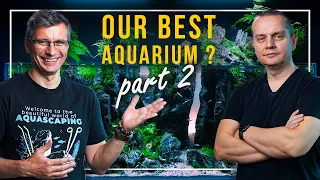 Our BEST AQUARIUM BUILD EVER? | 240 Liter Diorama and Paludarium | Part 2 - Planting