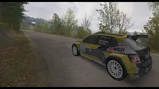 RBRPro- Spa rally -skoda fabia rally2