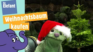 Knolle kauft einen Tannenbaum für Weihnachten | Der Elefant | WDR