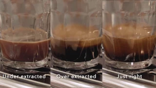 Extraction & Optimising Flavour – how to make great coffee