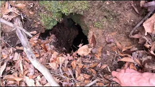 Dropping Go Pro Down This Unexplored Cave Revealed There Was More...