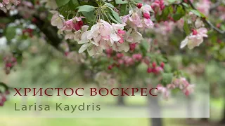 ХРИСТОС ВОСКРЕС | Lyric Video                                                        Larisa Kaydris