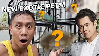 Filipino Actor Enrique Gil Gave Us Three Amazing Animals | Vlog #1653