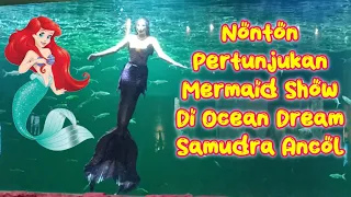 Nonton Pertunjukan Putri Duyung Di Ocean Dream Samudra Ancol - Mermaid Show Seru - Disney Ariel