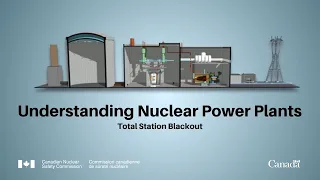 Understanding Nuclear Power Plants: Total Station Blackout