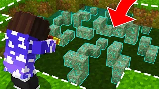 USEI HACK DE X-RAY ESCONDIDO DE TODOS NO MINECRAFT - IrmandadeSMP Ep.2