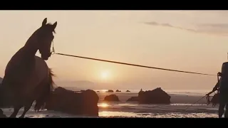 (Sorry for all the re-posts i’ve been busy but it will improve) ￼￼Rise Up ￼￼| Horse Edit