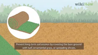 How to Prevent Soil Erosion