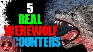 5 REAL Werewolf Encounters - Darkness Prevails