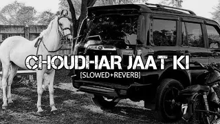 Choudhar Jaat Ki - Lofi(Slowed +Reverb) || Raju Punjabi | Sunny Deol Si Body Re || RG LOFI