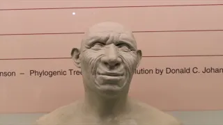 L'Uomo di Neanderthal, tra evoluzione e scheggiatura ( adatto a scuola primaria )