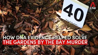 How Singapore police used DNA to solve the Gardens by the Bay murder