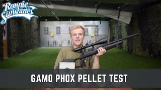 Gamo Phox Pcp Air Rifle Pellet Test | Ronnie Sunshines