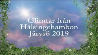 Hälsingehambon Järvsö 2019