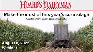 Make the most of this year's corn silage