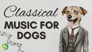Relaxing Classical Music For Dogs  -  Calming Classical Piano Music For Dogs To Relax