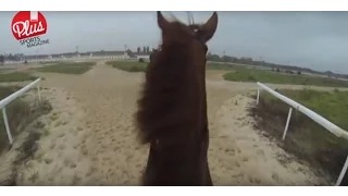 ¿Cómo preparan a un caballo de carreras? ¡Descúbrelo en MARCA Plus!