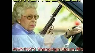 Amanda Lear - Queen of Chinatown (WEN!NG'S ShangHigh Opium Mix)01.rmvb