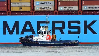 MILAN MAERSK - Full Loaded 399m long Container Ship